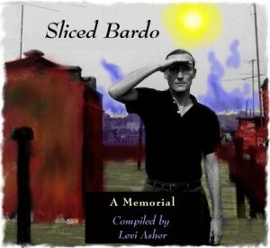 Sliced Bardo: a tribute to William S Burroughs